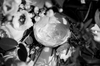charlotte  helen j rose photography0X2A6369 3 Digit Serial Number