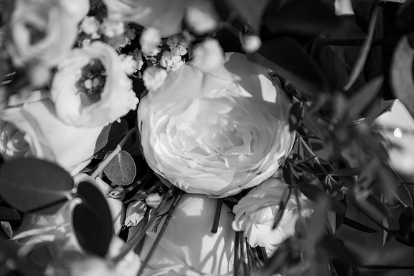 charlotte  helen j rose photography0X2A6369 3 Digit Serial Number