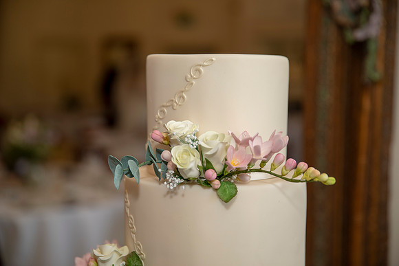 hr - peterstone court wedding photographer - south wales wedding photographer - welsh wedding photographer (550)