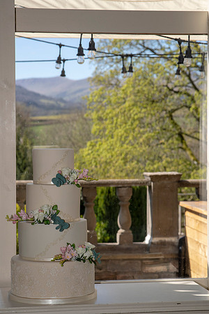 SB-peterstone court wedding - south wales wedding photographer - wedding photographer (21)