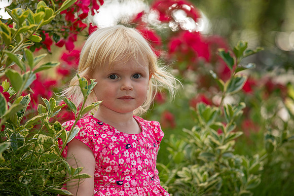 alison2807240X2A5775043